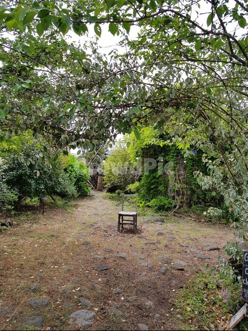 배경,식물,공원,파크,나뭇잎,가을,풍경,자연,나무,숲속,나무숲,의자,정원,tree,plant,leaf,nature,landscape,garden