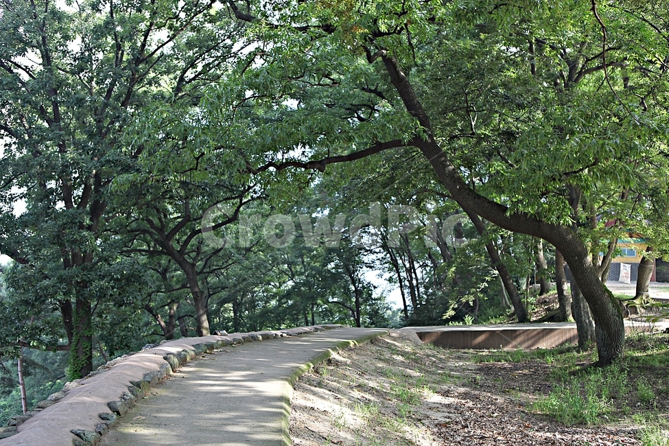 공주산성,성,산성,성곽,길,둘레길,숲,숲길,돌담,담,여름,풍경,흙담,벽,방어벽,나무,식물,유네스코등제