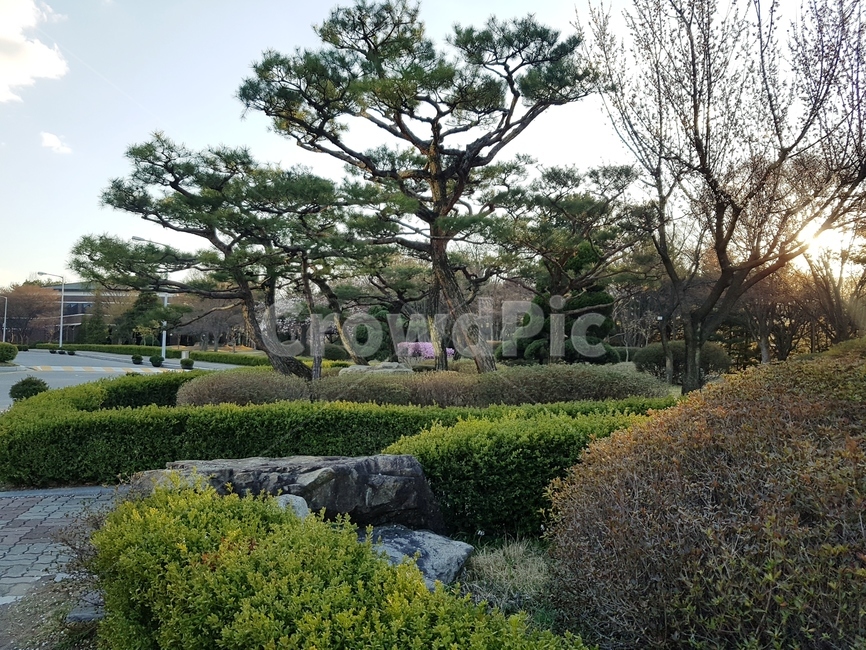 나무,따뜻함,하늘,한적함,초록,잔디,파릇파릇,햇빛,자연,풍경,nature,landscape