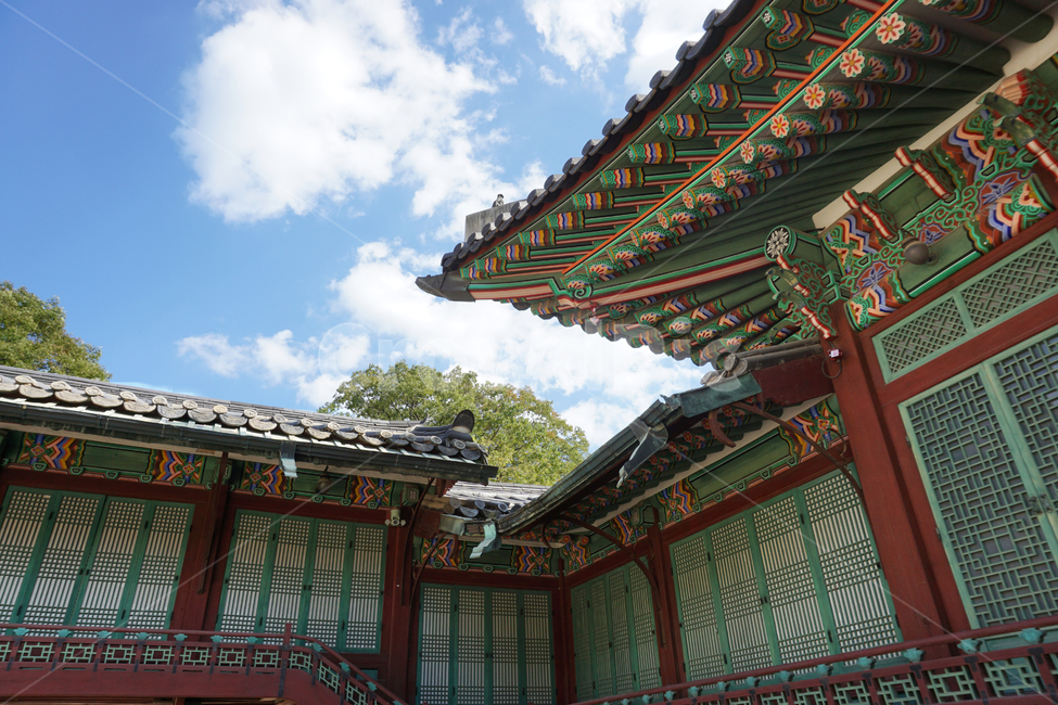 outdoors,옥외,garden,정원,arbour,정자,창덕궁,궁,한국의궁,나무,하늘,한옥,landscape,korea,tree,place,changdeokgungpalace,changdeokgung,architecture,건축물,building,건물,한국전통,한국문화,korean traditional,korean culture