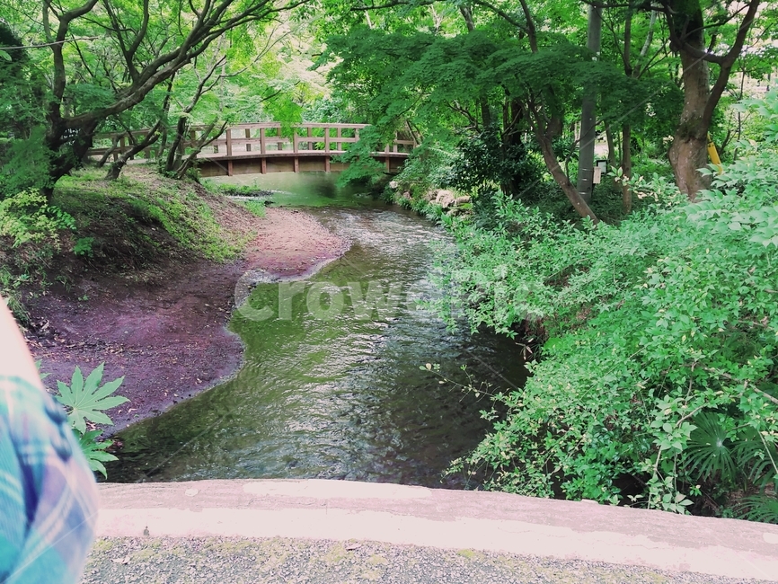 냇가,냇물,좁은강,다리,숲속,자연,풍경,nature,landscape,outdoors,옥외,water,물