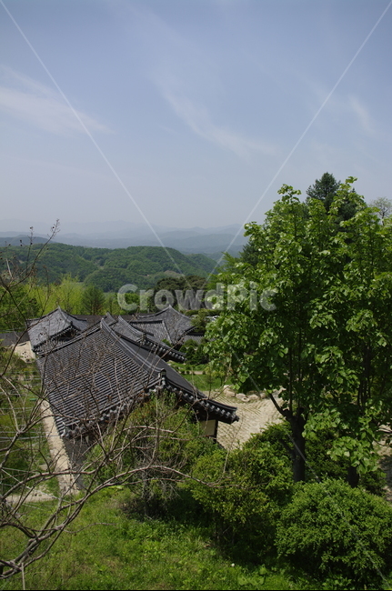 부석사,사찰,건축,전통건축,traditional,전통,기와지붕,풍경,초록,나무,잎,식물,plant,계절,봄,spring,한국전통,한국문화,korean traditional,korean culture