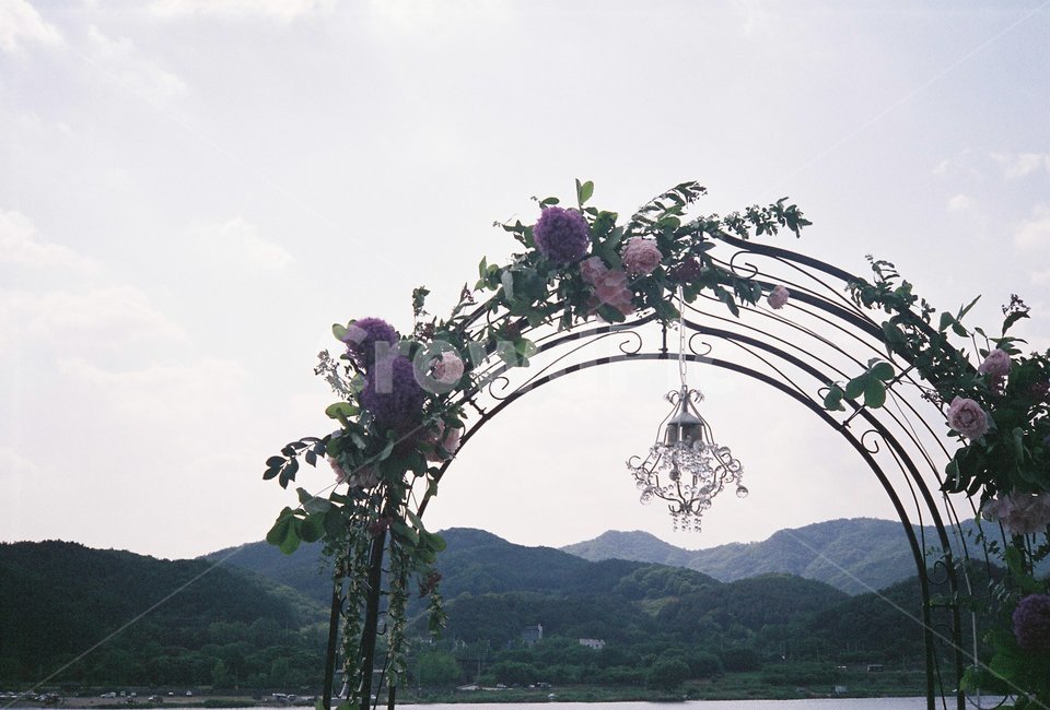 결혼식,꽃,정원,꽃장식,야외결혼식,꽃,flower