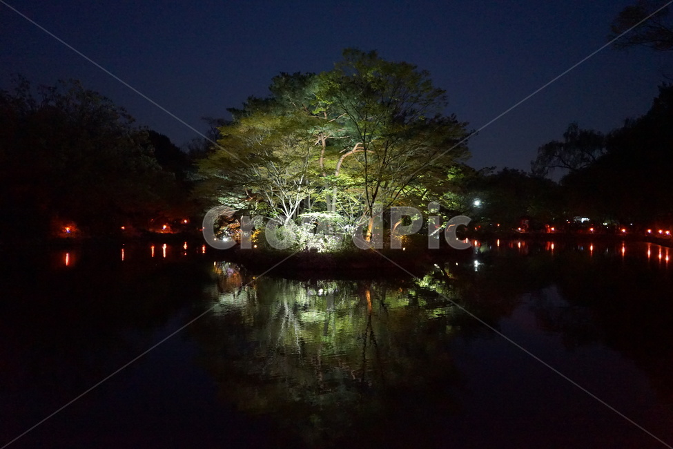 창경궁,고궁,한국스러움,야간개장,한국,야경,밤,풍경,nightscape,night,landscape,nature,자연,outdoors,옥외,water,물