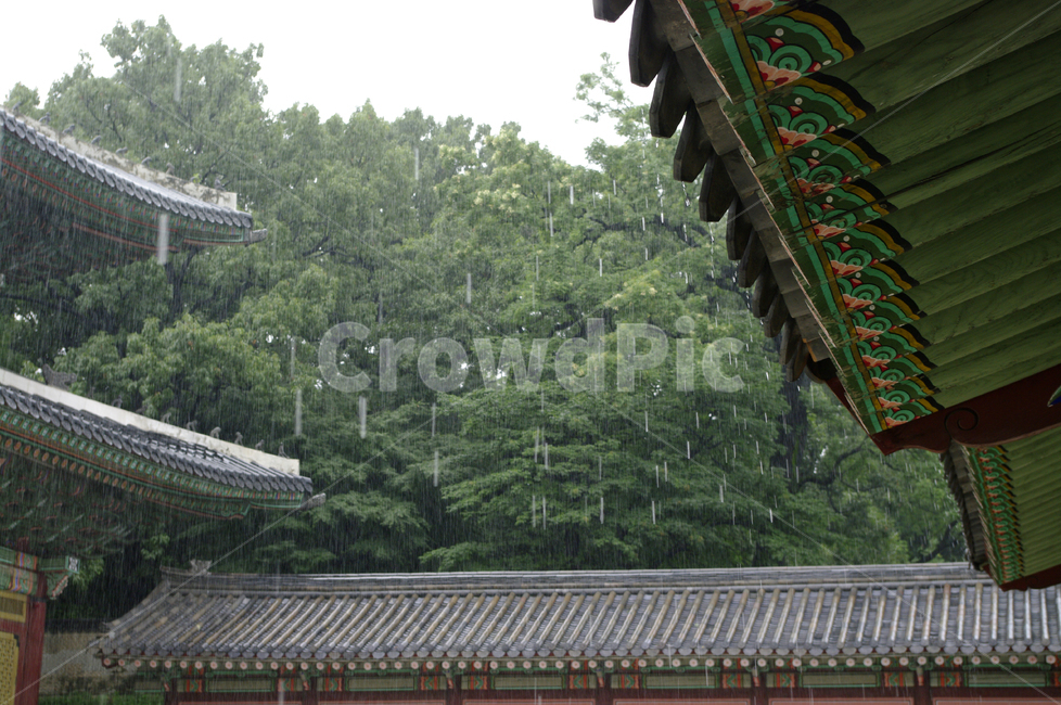 창덕궁,고궁,기와지붕,건축,traditional,처마,비,단청,한국전통,한국문화,korean traditional,korean culture,비,비오는날,rain,rainy,건축물,건물외관,exterior,building,structure,architecture,construction