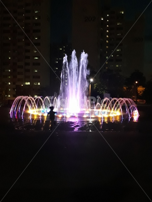 분수,아름답다,공원,영롱,색감,야경,밤,풍경,nightscape,night,landscape,도시,city,한국도시풍경,한국도시경관,korea cityscape,water,물,fountain