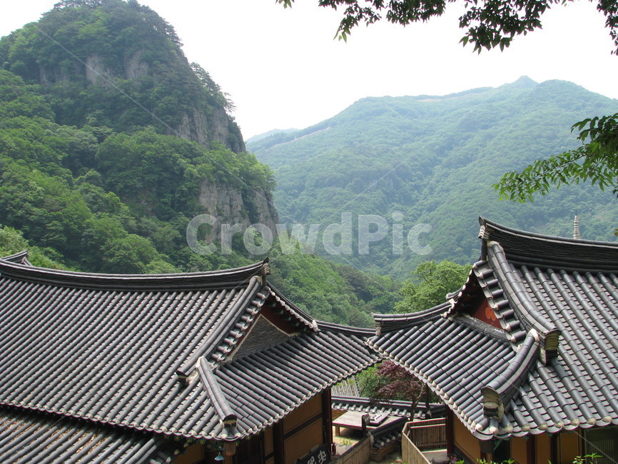 절,사찰,불교,템플스테이,청량산,cheongryangmountain,한국전통,한국문화,korean traditional,korean culture,건축물,건물외관,exterior,building,structure,architecture,construction