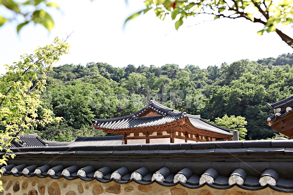 기와집,전통집,한옥,집,옛날집,한국전통,한국문화,korean traditional,korean culture,건축물,건물외관,exterior,building,structure,architecture,construction