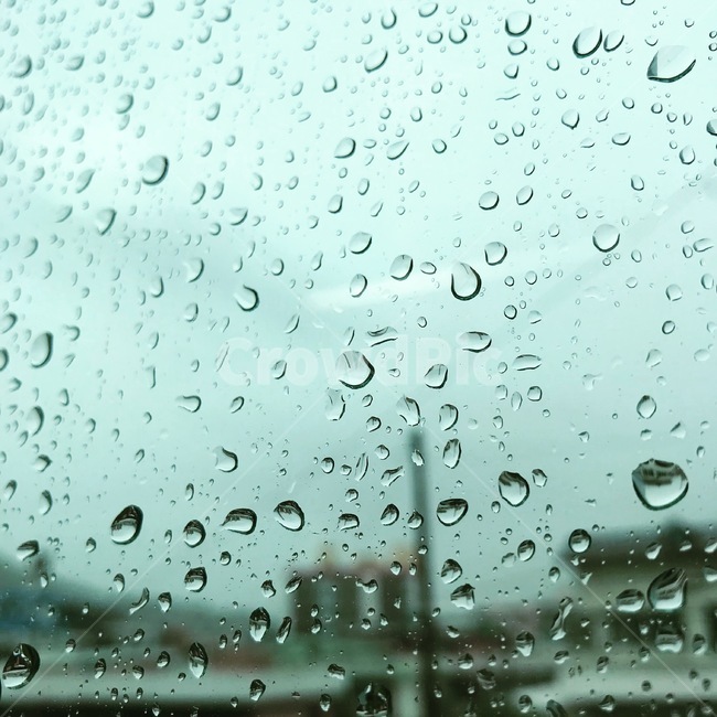 빗방울,창문,유리,물방울,비,비,비오는날,rain,rainy
