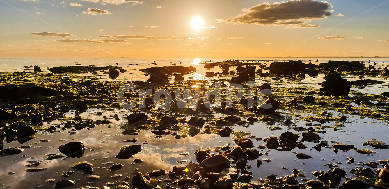 호주,해변,바다,자연,노을,australia,natural,beach,ocean,sunset,해외,외국,여름,summer,자연,풍경,nature,landscape,해외,외국,세계,foreign,oversea,world,세계자연풍경,해외자연풍경,외국자연풍경,world nature landscape,flare,플레어,light,빛,sunlight,햇빛,plant,식물,leaf,잎
