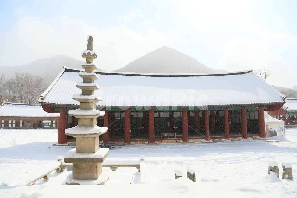 고창,선운사,선운사설경,설경,겨울,겨울,계절,winter,season,한국전통,한국문화,korean traditional,korean culture,종교,신앙,religion,belief,faith,건축물,건물외관,exterior,building,structure,architecture,construction