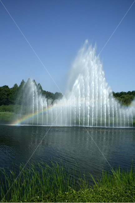 호수,여름,식물,물결,공원,분수,무지개,하늘,자연,풍경,nature,landscape,water,물,fountain