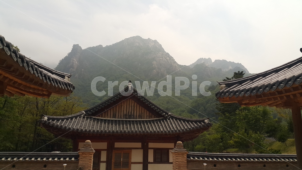 풍경,강원도,감성사진,휴가,나무,산,힐링,설악산,절,한옥