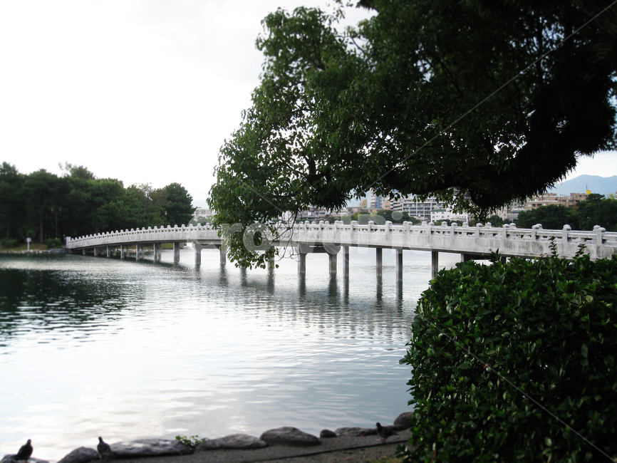 tranquility,bridge,quiet,Japan Ohori Park,scenery,lake,Park
