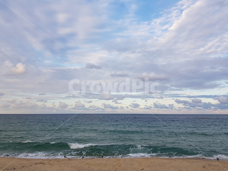 바다,동해,바닷가,동해안,동해바다,해변,바다,beach,sea