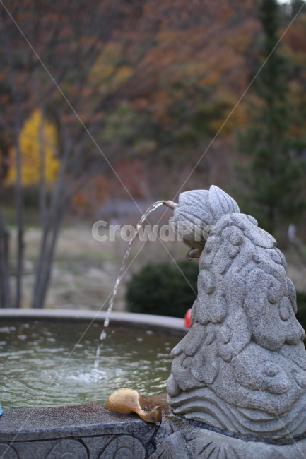 약수,물,수돗가,절,사찰,자연,정수기,식수대,water