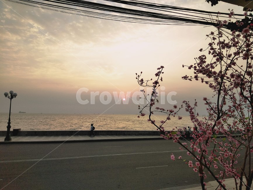 베트남,베트남바다,바다,노을,노을진바다,수평선