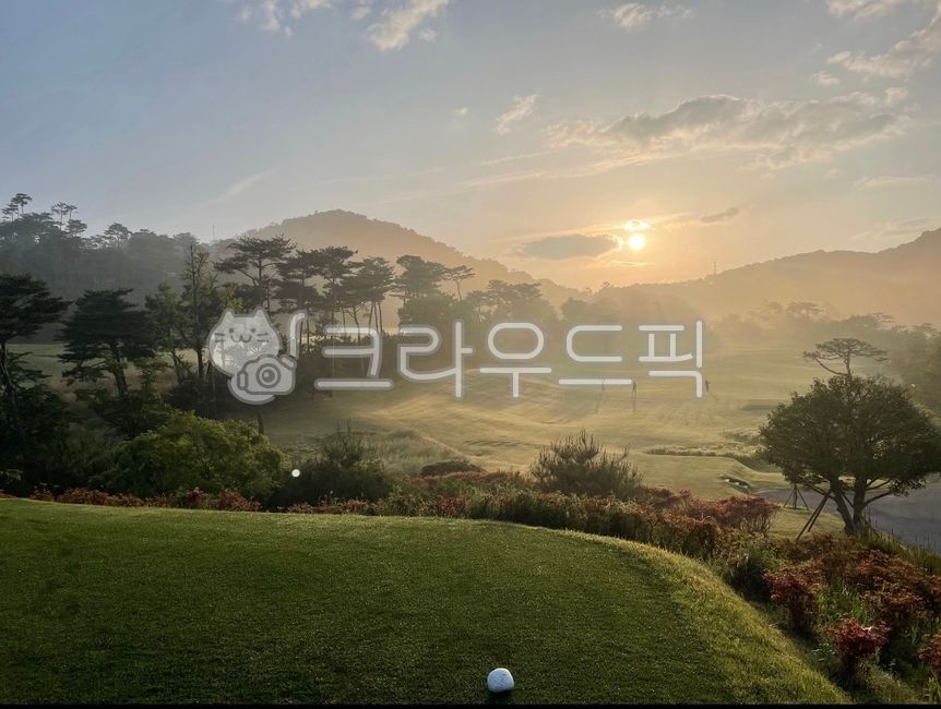 field,필드,옥외,nature,자연,outdoors