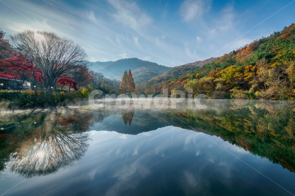 불장골,송곡지,반영,가을,공주시,물안개,가을,계절,fall,autumn,season,자연,풍경,nature,landscape,한국자연풍경,한국자연경관,korea nature landscape,water,물,outdoors,옥외,plant,식물,tree,나무,abies,아비,fir,전나무
