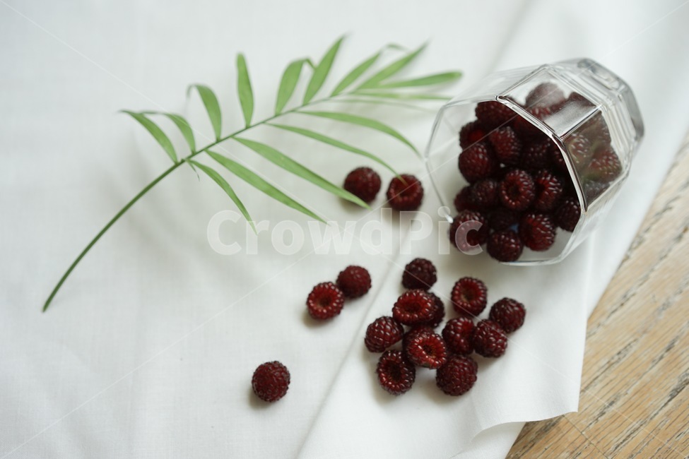 산딸기,열매,과일,라즈베리,raspberry,식물,자연,plants,nature,음식,식재료,요리,food,cook,meal,dishes,food reserves,과일,열매,fruit,연출,컨셉,콘셉,direction,concept
