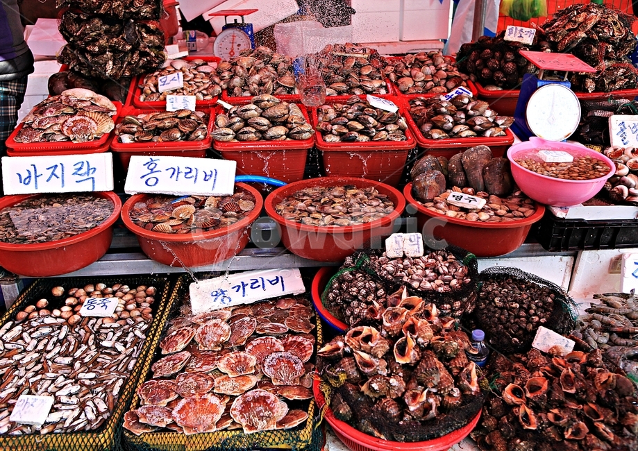 조개,식재료,먹거리,음식,조개구이,배경,자연,시장,마트,마켓,market,mart,market place,음식,식재료,요리,food,cook,meal,dishes,food reserves,수산물,해산물,fishery products,seafood