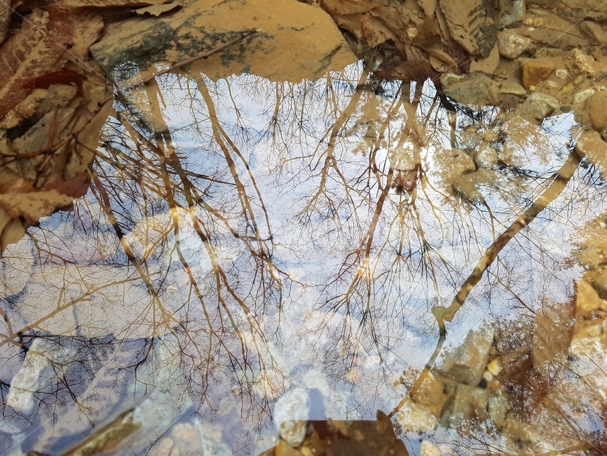 이른봄,동네뒷산,옹달샘,맑은물,반영