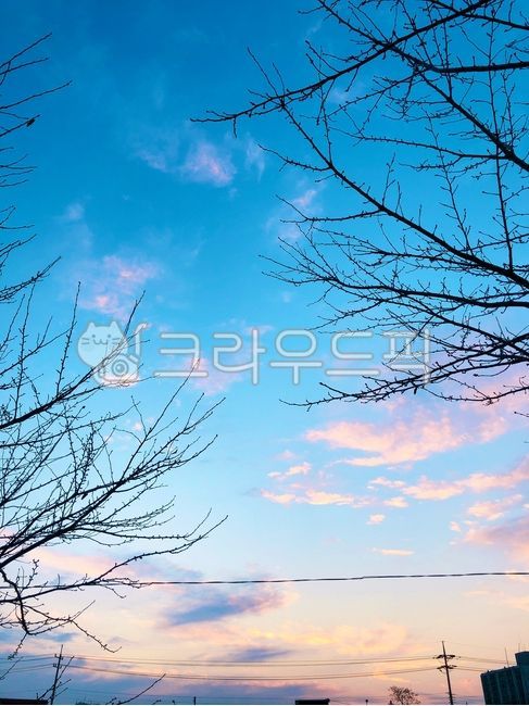 구름,자연,나무,tree,cloud,nature,하늘,sky