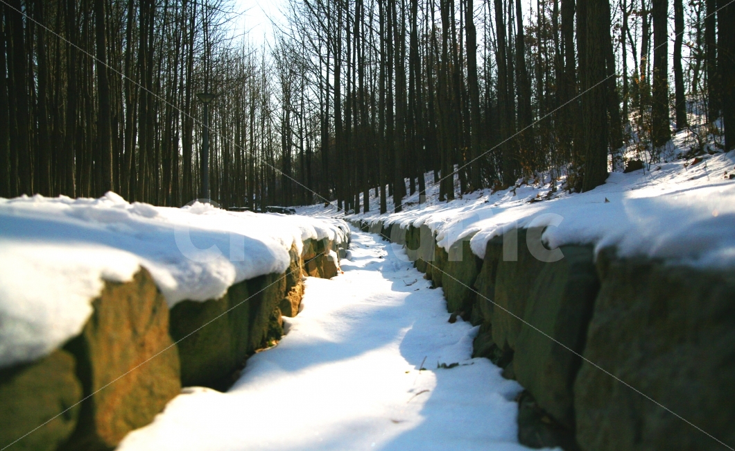 눈온다음날,눈,서울숲,도랑,숲속,자연,풍경,nature,landscape,겨울,계절,winter,season,outdoors,옥외