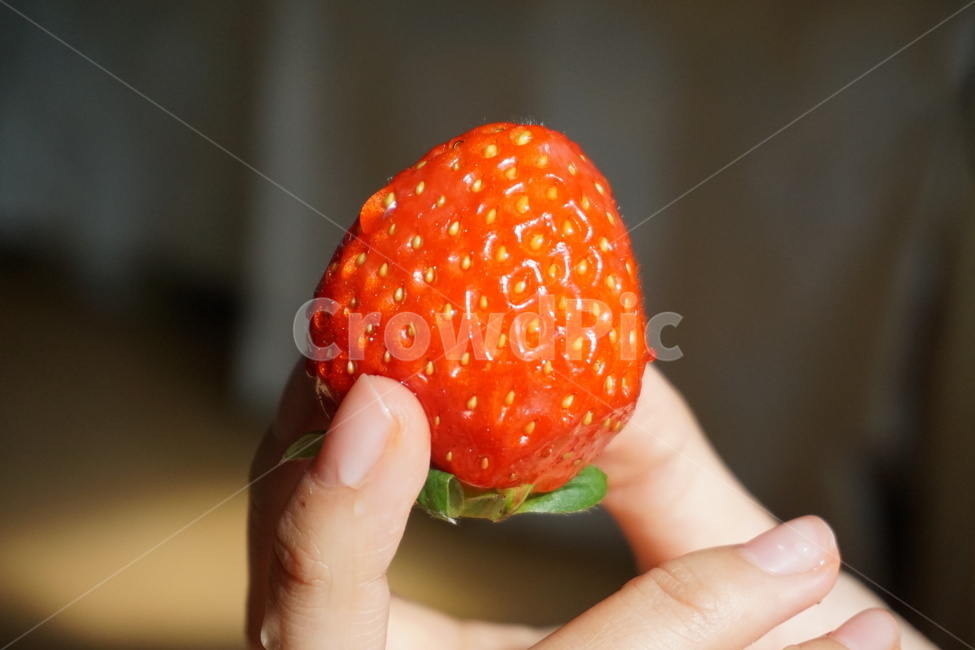 딸기,strawberry,음식,과일,fruit,디저트,후식,음식,식재료,요리,food,cook,meal,dishes,food reserves,과일,열매,fruit