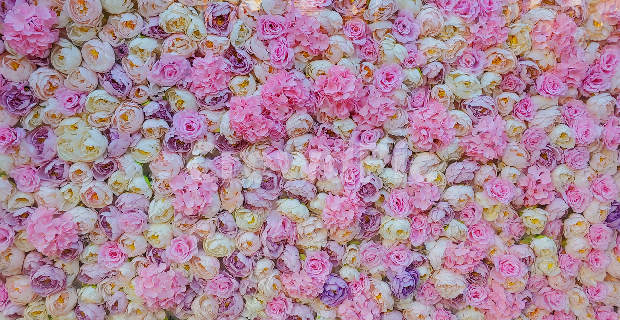 장미,꽃,로즈,분홍색,핑크색,패턴,백그라운드,장식물,디스플레이,배경,바탕,rose,flowers,display,decoration,pattern,꽃장식,background,plant,식물,꽃,flower