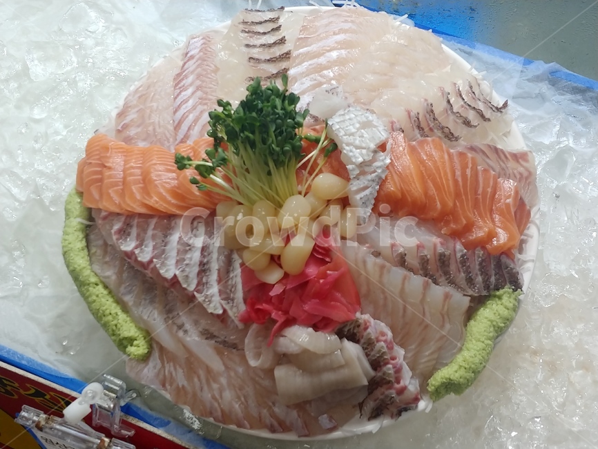 회,노량진,수산시장,참돔,연어,광어,우럭,신선,모둠회,횟집