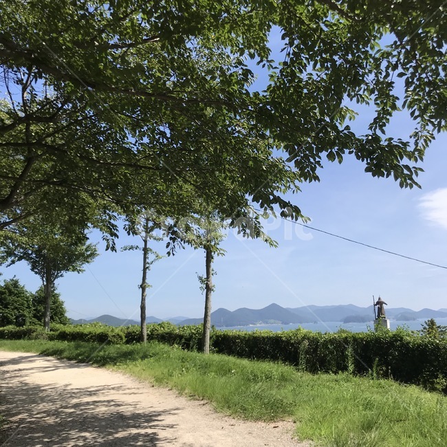 나무,plant,식물,tree,자연,nature,이순신,이순신공원,바다,산,시골,여름,자연,풍경,nature,landscape