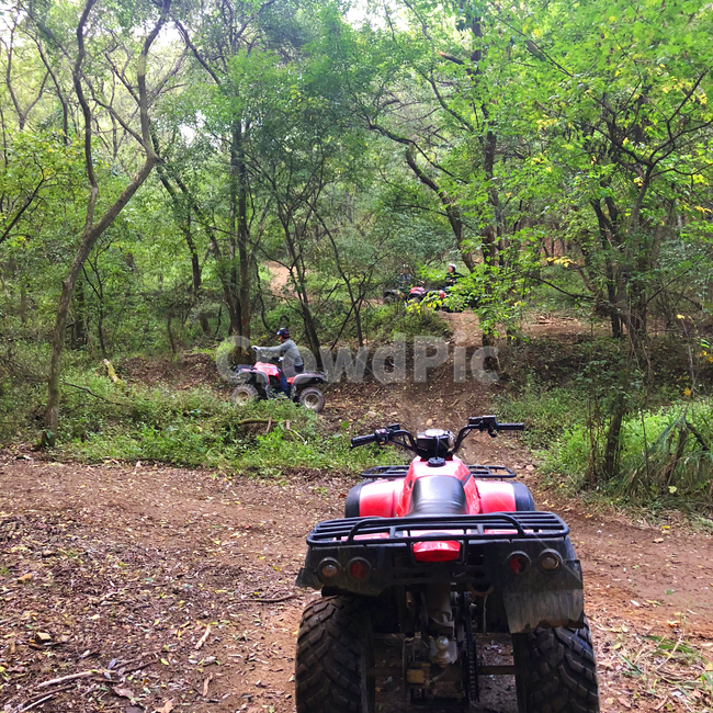 atv,4륜오토바이,산악,가륜차,오프로드,사발이,레저,레저활동,산악오토바이,leisure,산,스포츠,스포츠,레저,운동,sports,leisure,exercise