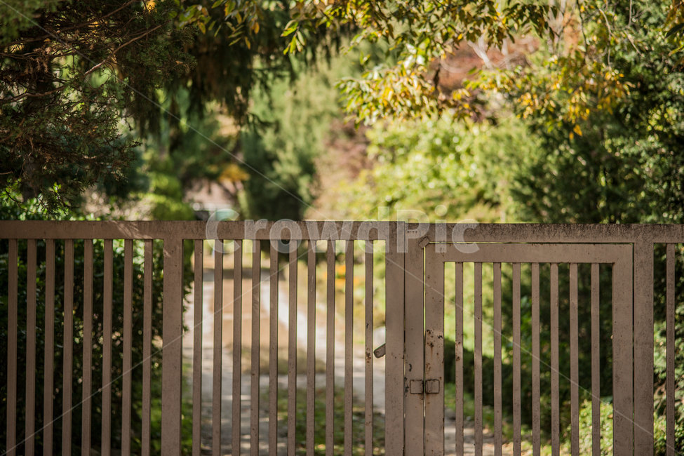 가을,길,문,도로,path,walk,nature,fall,door
