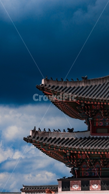 경복궁,광화문,서울,종로,한국,배경화면,한국전통,한국문화,korean traditional,korean culture,랜드마크,landmark,tourist attraction,한국랜드마크,한국관광지,한국명소,korea landmark,korea tourist attraction,건축물,건물외관,exterior,building,structure,architecture,construction