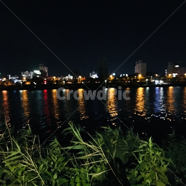 강,빛,밤,산책,평화