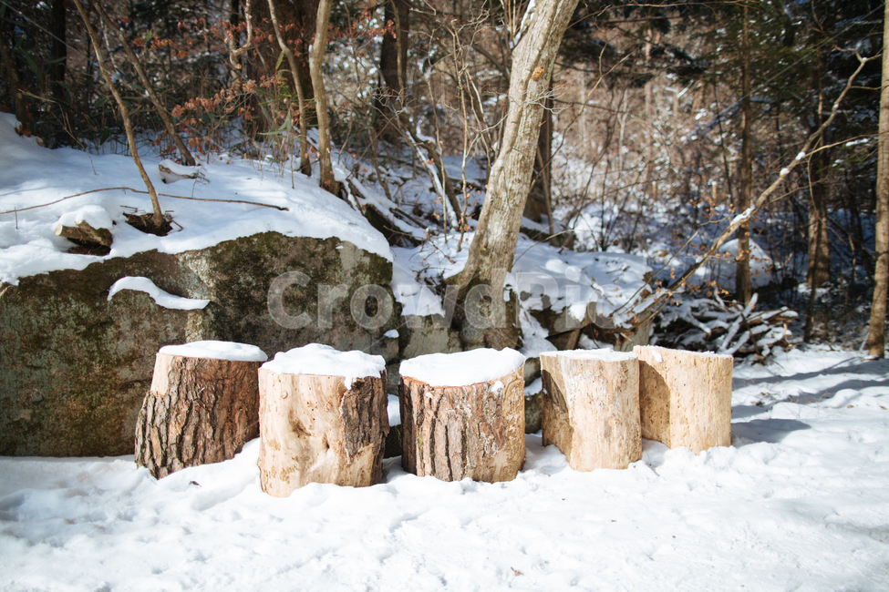 겨울,눈,스냅,감성,풍경,겨울,계절,winter,season