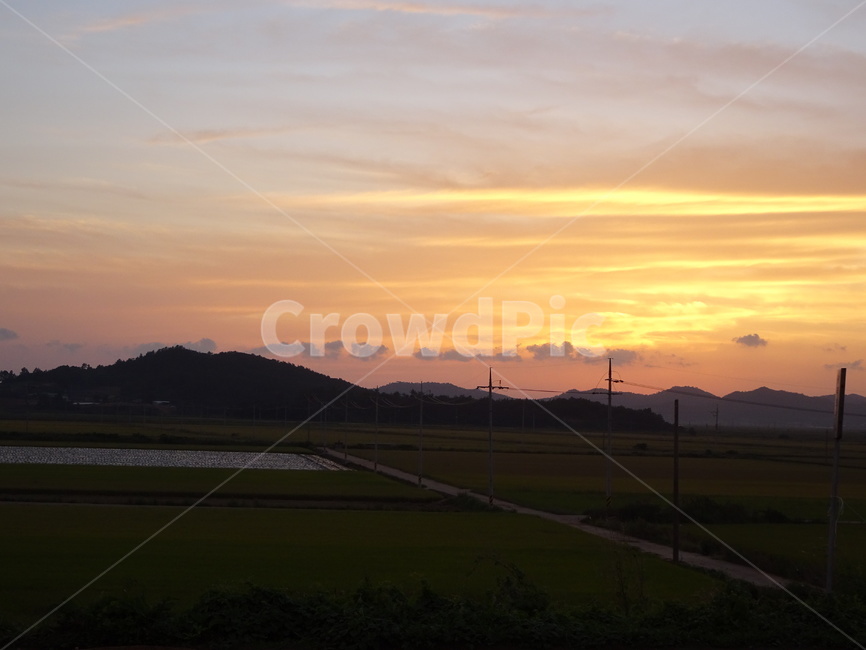 하늘,태양,노을,해,시골,자연,풍경,nature,landscape,outdoors,옥외,grassland,목초지,field,들