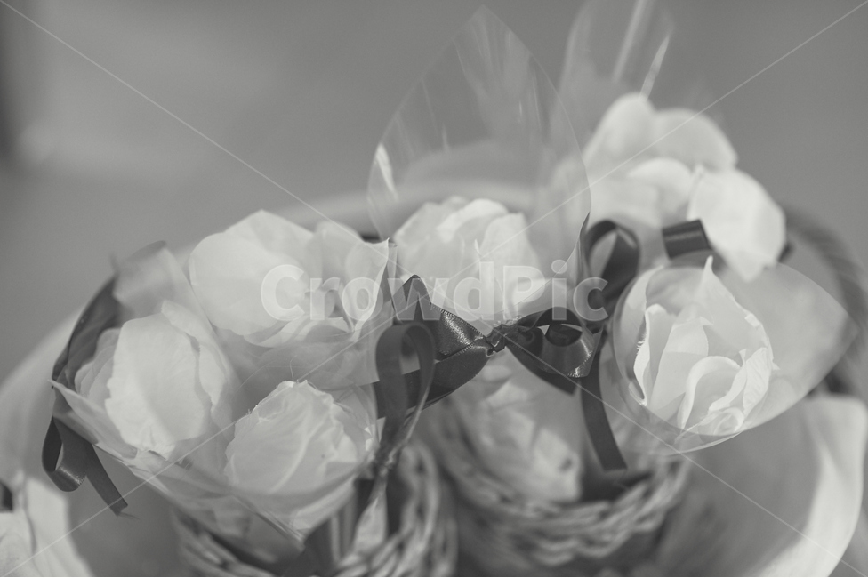 흑백,꽃,리본,인테리어,장식,꽃,flower,기념일,축하,anniversary,congratulation,celebrate,celebration,흑백,모노톤,monochrome,black and white