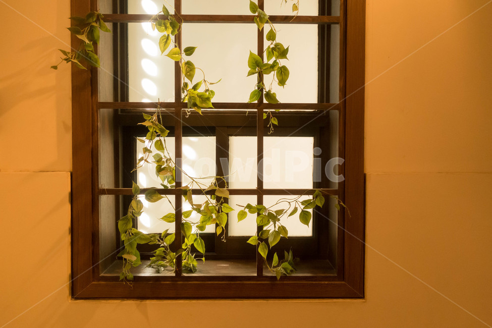 유리창,실내장식,식물,인테리어,장식,인테리어,실내디자인,interior design