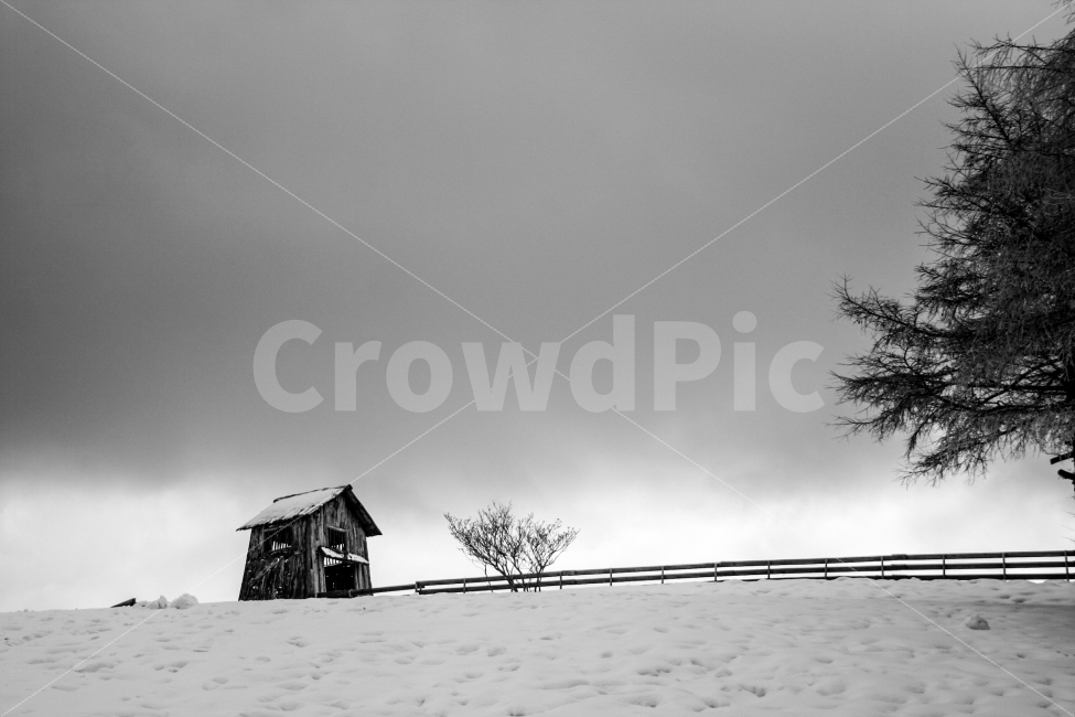 흑백,겨울,대관령,설경,들판,오두막,집,담장,언덕,쓸쓸함,흐림,눈,설국,자연,풍경,nature,landscape,겨울,계절,winter,season,흑백,모노톤,monochrome,black and white,outdoors,옥외
