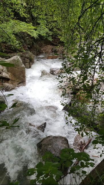 계곡,바위,물쌀,자연,풍경,깨끗함,자연,풍경,nature,landscape,water,물,outdoors,옥외,river,강,creek,작은 만,stream,흐름
