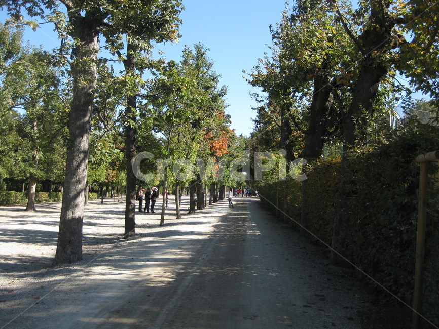야외,garden,정원,outdoors,옥외,person,사람,가로수,나무,tree,green