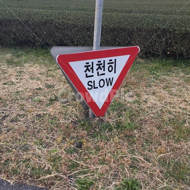 표지판,천천히,위로,slow,응원