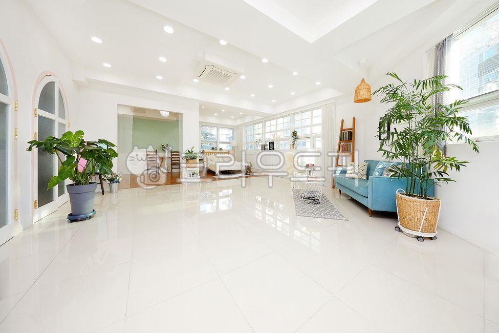 studio,Antique,flooring,interior space,inside,house,Sofa,modern space,spacious living room,pot,furniture,Rental Studio,living room,blue sofa,Living,flower,one room,light,a large room,white space,window,living space,curtain,clean space