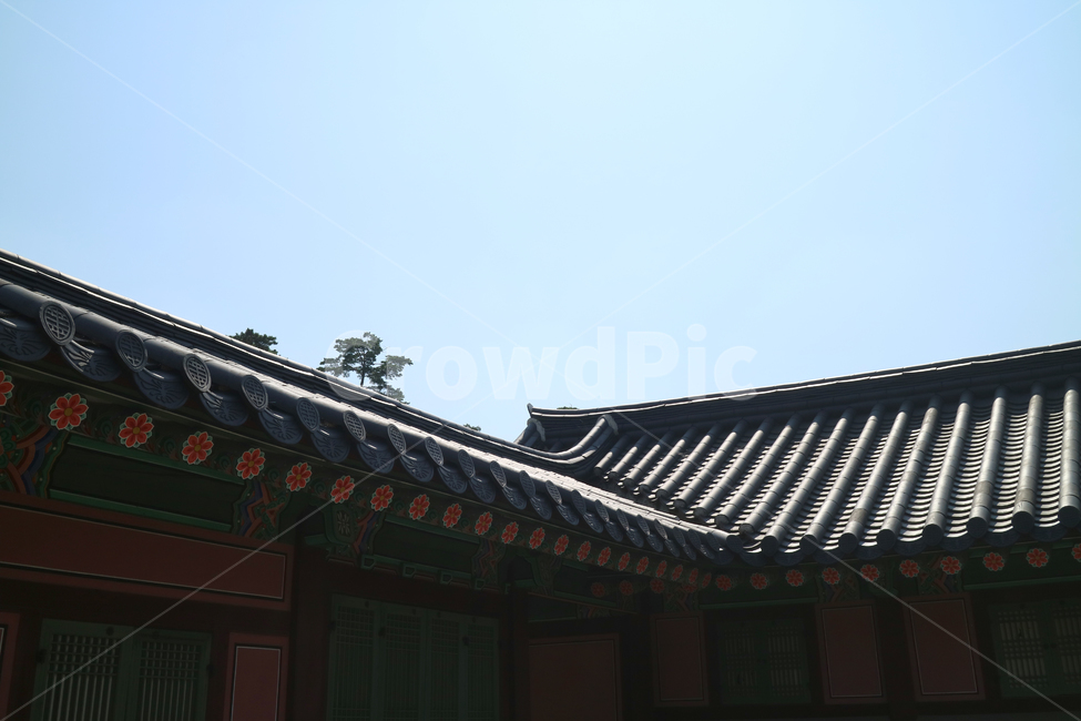 고궁,궁전,한국전통,한국,건축,건물,동양건축,전통가옥,한옥,문화재,전통,민속,한국의고궁,지붕,한국전통,한국문화,korean traditional,korean culture,건축물,건물외관,exterior,building,structure,architecture,construction