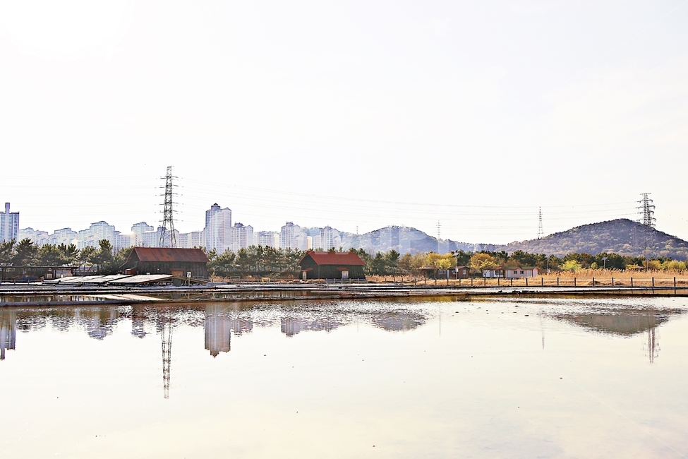 염전,소금창고,소금,소래생태공원,풍경,자연,배경