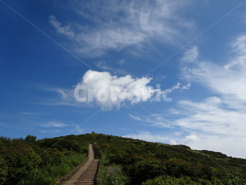 bridge,nature,자연,노고단,지리산