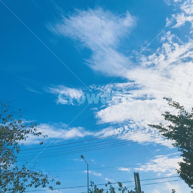 하늘,구름,하늘색,나무,맑음,색감,느낌,풍경,감성,자연,파랑,예쁨,감성사진,sky,cloud