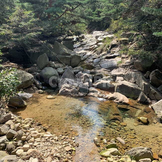 관악산,등산로,계곡,가뭄,산,산속,자연,풍경,nature,landscape,rubble,파편,water,물,outdoors,옥외